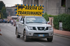 transumanza 2014